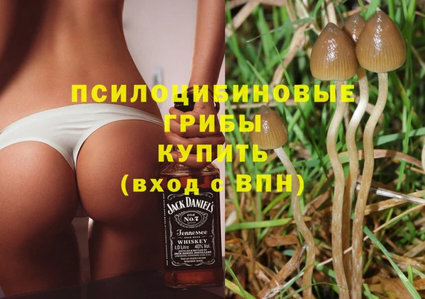прущая мука Новозыбков