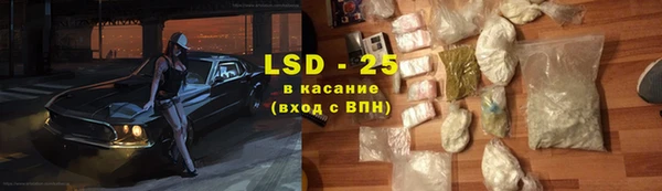 ГАЛЛЮЦИНОГЕННЫЕ ГРИБЫ Аша