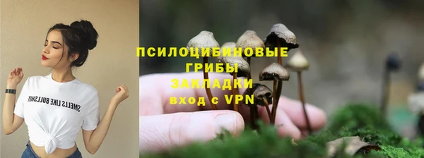 мяу мяу мука Нязепетровск