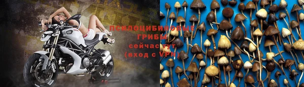 прущая мука Новозыбков